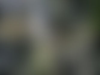 Procuraduría destituye e inhabilita a miembros del Ejército Nacional por muerte de un indígena en el Cauca