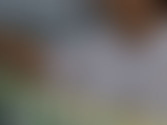 Licorera del Cauca expande su mercado y fortalece sus ingresos