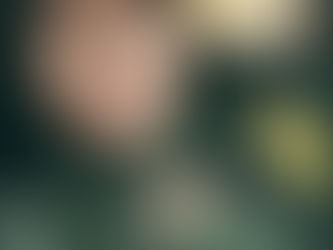 Capturada integrante de las disidencias en Santander de Quilichao