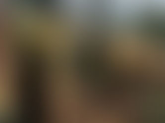 “Es infame colocar explosivos en una institución educativa”: gobernador del Cauca