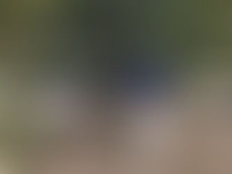 Voces, justicia y territorio