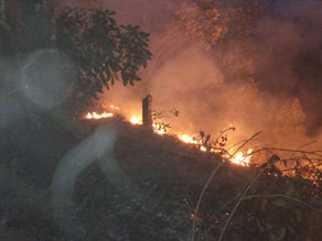 Incendio forestal afecta zona de vegetación en Bolívar, Cauca