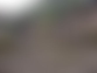 Denuncian confinamiento prolongado de varias familias en zona rural de Timbiquí 