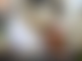 Niñez caucana vivió jornada de alegría, integración y construcción de paz