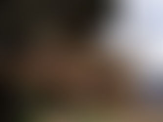 Disidencias están tratando de usar a la población civil para regresar al Plateado en Argelia