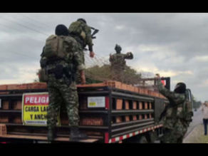 Ejército incauta cerca de una tonelada de marihuana en Puerto Tejada, Cauca