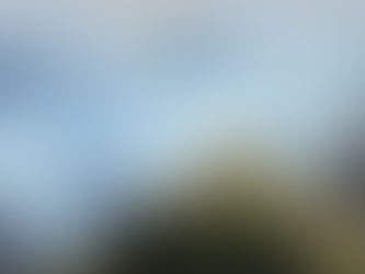 Van más de 400 incendios forestales en el Cauca, dejando mortandad de animales por falta de agua