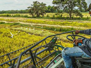 Invertirán 19 mil millones para tres proyectos productivos que beneficiarán a más de 200 familias del Cauca