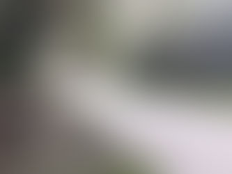 Ejército frustra atentado con explosivos en el norte del Cauca