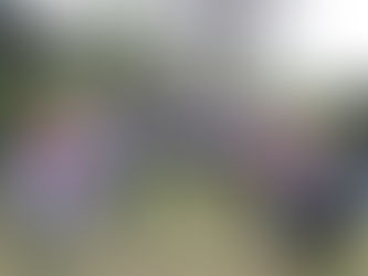 Gobierno Departamental realiza “Cumbre por la Paz del Cauca”