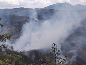 Comunidad del Resguardo de Pitayó combate por cuenta propia incendio forestal en Monte Oscuro, Silvia, Cauca