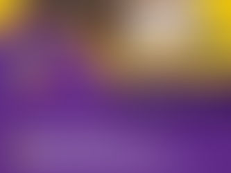 Gran jornada masiva de vacunación antirrábica en el municipio de Argelia