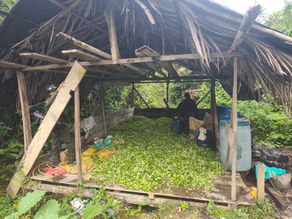 Armada destruye laboratorio con más de una tonelada de insumos para procesar coca en Timbiquí, Cauca