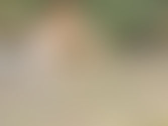 Deslizamiento genera el represamiento del río Timbío