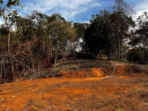 Millonaria sanción contra entidad pública y resguardo indígena por destrucción de Bosque Seco en Santander de Quilichao