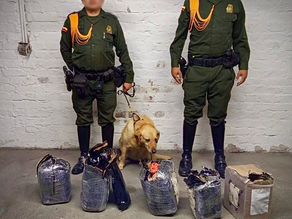 7 kilos de marihuana fueron incautados en popayán gracias a operativo policial.