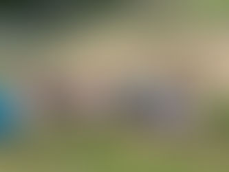 Sortie au Domaine de Parial pour les petits