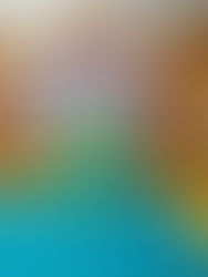 L'aventure au pays des Licornes et des dragons se termine avec une matinée pleine d'épreuves!