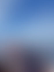 Une semaine encore bien remplie d'activité plus sympa les unes que les autres!!!