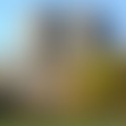 Statement on Ryerson University Name Change