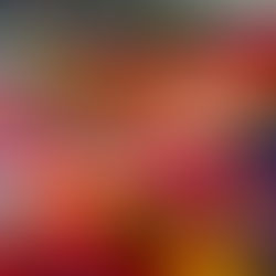 ONWA Celebrates Métis Culture