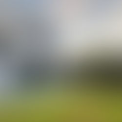 Standalone Luxury…A Beautifully Reimagined Villa in Chorisia II