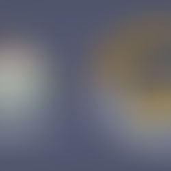 Ontario Native Women’s Charitable Foundation (ONWCF) Recipient of Slaight Family Foundation Donation