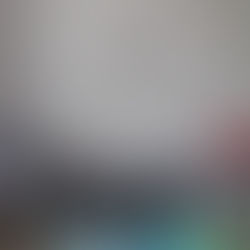 Maria Morris Global Marks Four Years of Purpose-Led Growth