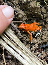 IMG_3791_edited.jpg