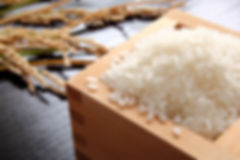 AdobeStock_124526286.jpeg