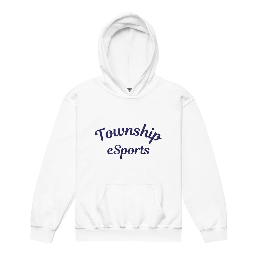 Township eSports Youth Heavy Blend Hoodie