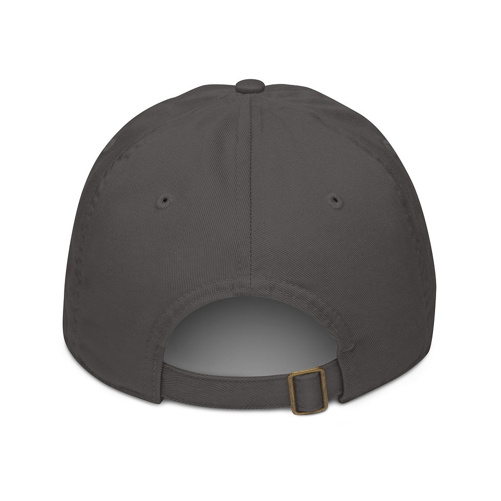 Thumbnail: Township Blue Streaks Organic Dad Hat