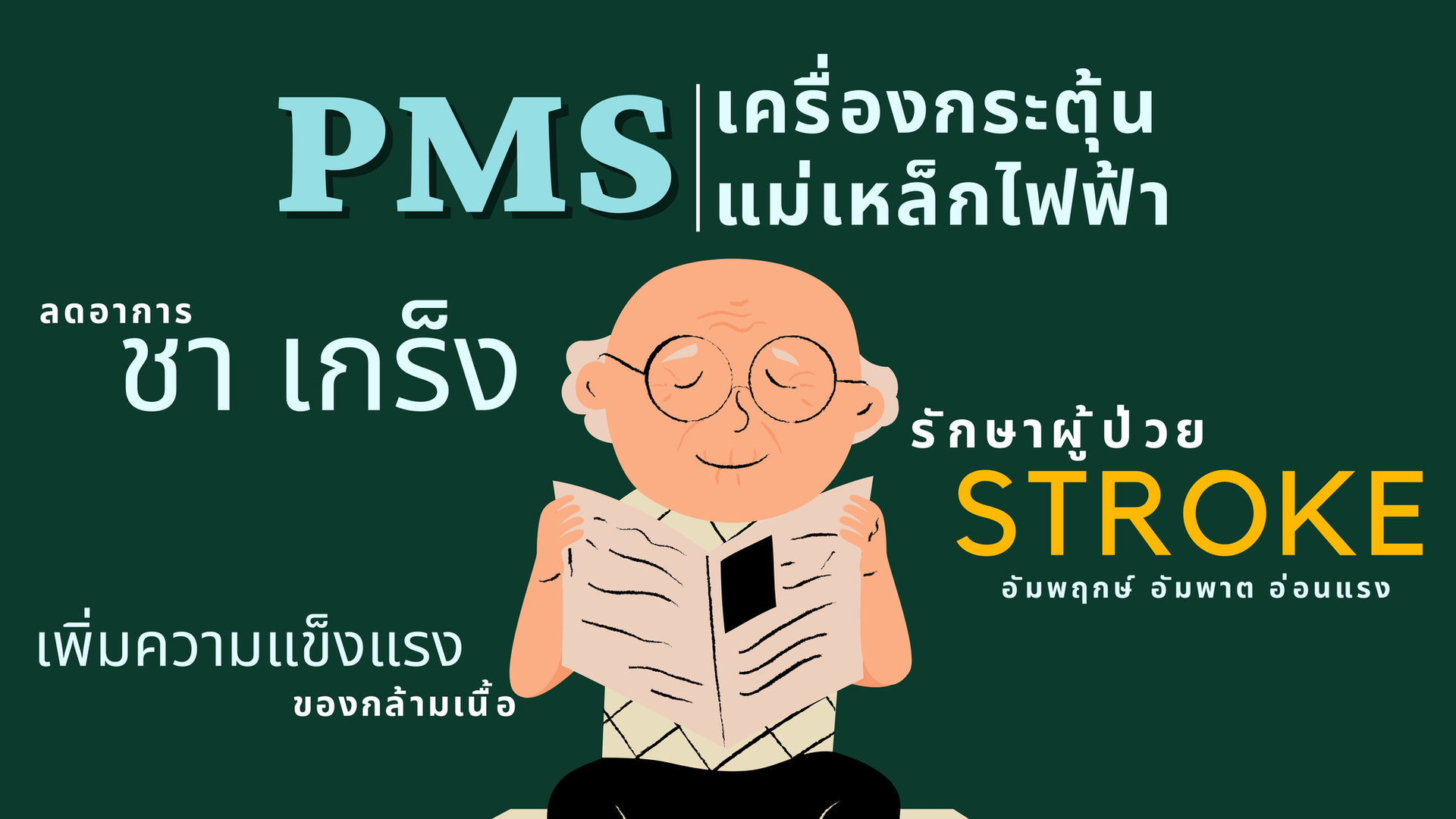 PMS เครื่องกระตุ้นแม่เหล็กไฟฟ้า