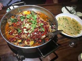From Overseas, the Same Moon: An International Student’s Reflection on Lunar New Year