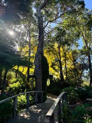 Brücke in einem Garten eines Weingutes