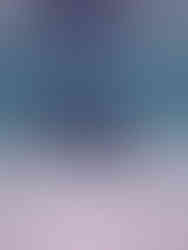 Nahaufnahme von zwei Delfinen unter Wasser