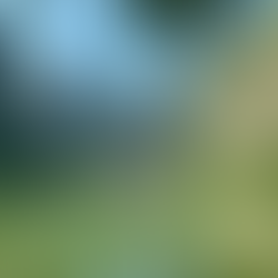 Vietnam, Ninh Binh, Trang An, Boostour