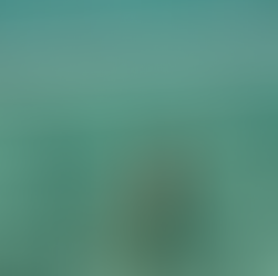 Frau im türkis leuchtenden Meer in den Philippinen