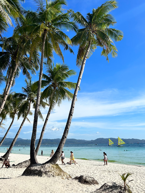 weißer Sandstrand mit Palmen auf den Philippinen