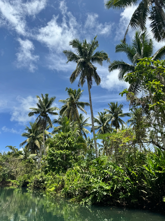 Mason River Fluss mit Palmen in den Philippinen