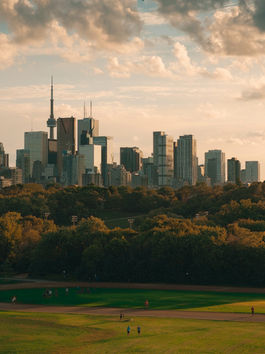 Prices Continue To Fall, Anxious Seller's, Patient Buyer's. Opportunity On The Horizon.