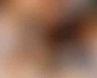 dog branded content denver colorado Vital Essentials tales of voyage