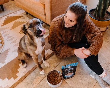 dog branded content denver colorado Vital Essentials tales of voyage