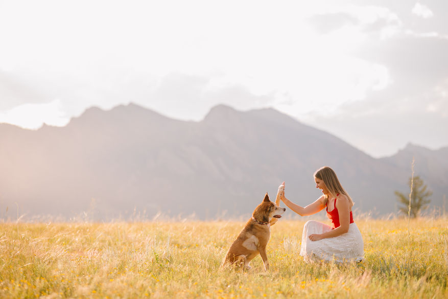 Denver dog photographer, Colorado dog photographer, pet photographer, woman poses facing her rescue dog high-fiving him with mountains in the background