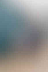 cat branded content denver colorado Vital Essentials tales of voyage