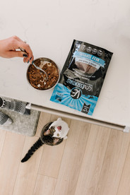 cat branded content denver colorado Vital Essentials tales of voyage