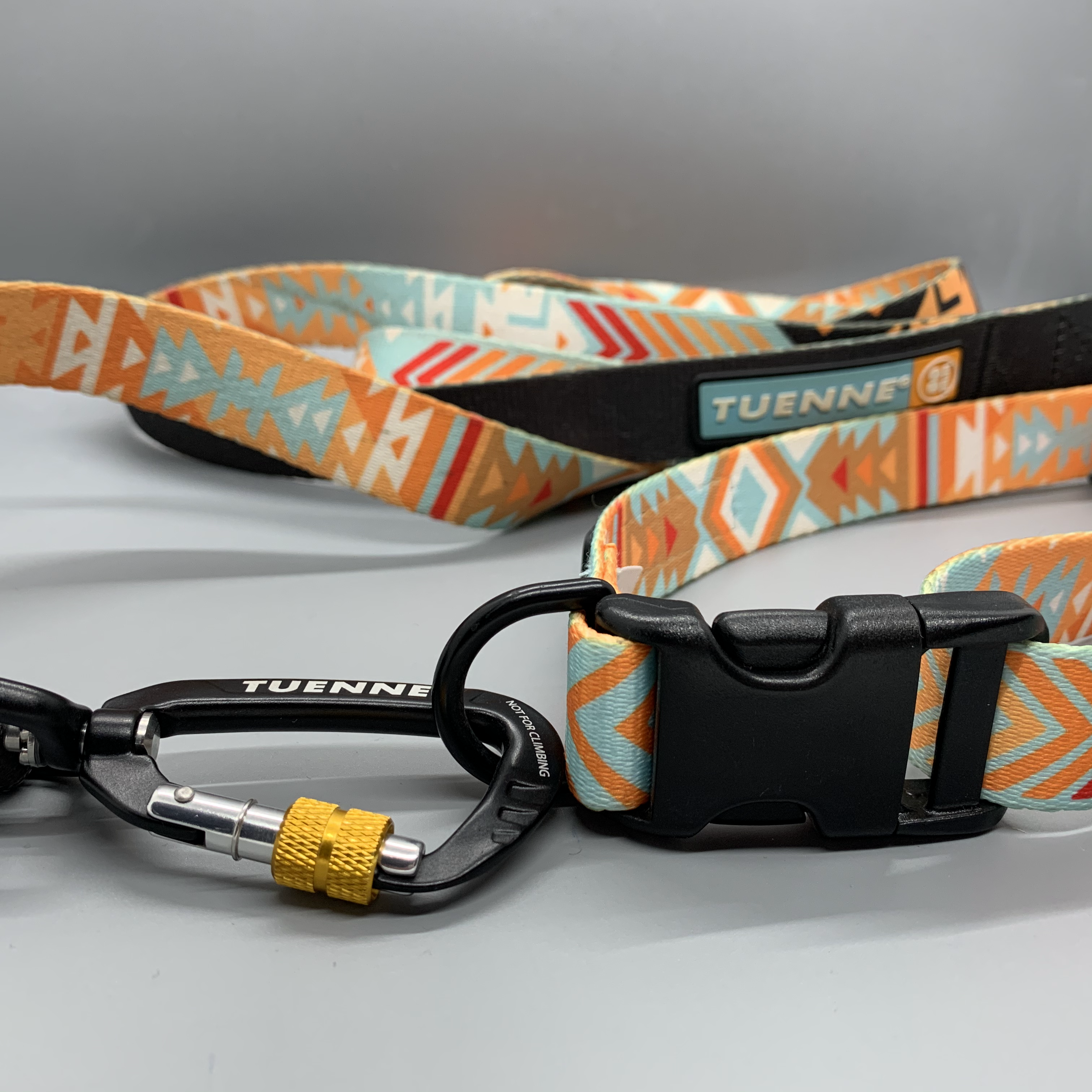 Tuenne Leash & Collar