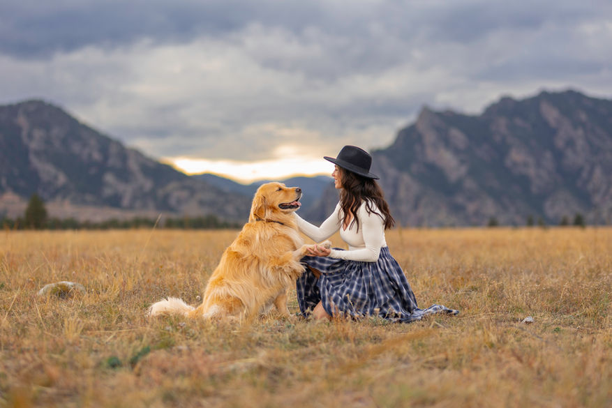 Denver dog photographer, Colorado dog photographer, pet photographer, woman poses facing her golden retriever shaking his paw with mountains in the background