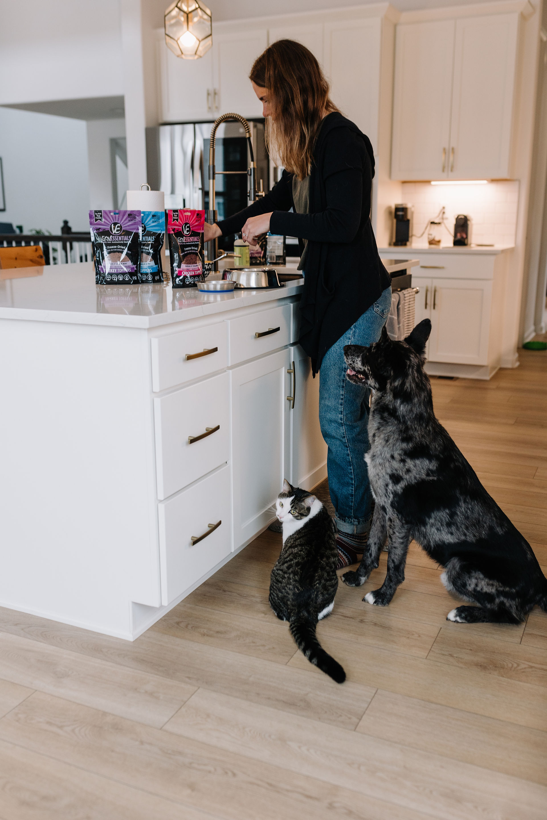 dog cat branded content denver colorado Vital Essentials