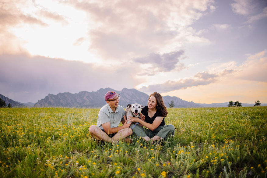 Denver dog photographer, Colorado dog photographer, pet photographer, woman and man sitting with her rescue dog sitting in a flower field with mountains in the background